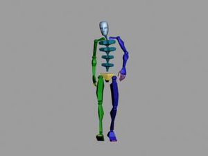 Walk_36fr_loop.bip
