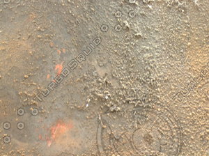 Greasy Dirt Metal  20090328 014