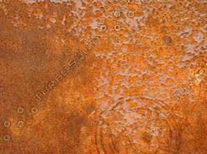 Metal Rust 20090716 009