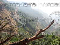 2100695909_ff1410ab3a_b.jpg