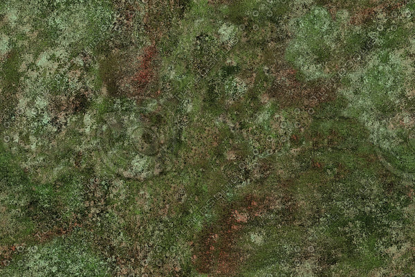 Texture JPEG alien texture abstract