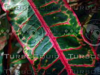 DSC00005.JPG