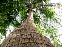 DSC00006.jpg