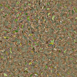 Seamless tileable 2048 by 2048 leafy grass texture