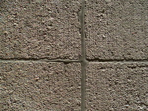 PICT0213.JPG