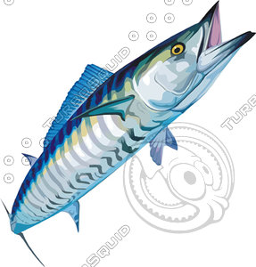 fish 10.ai(1)