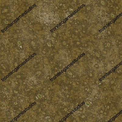 Texture JPEG frog skin texture