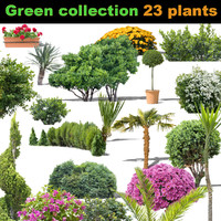 Green collection 23 plants