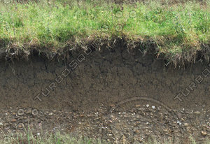 riverbank 12.jpg