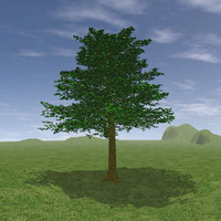 Tree Intro