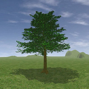 Tree Intro