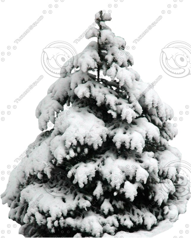  https://static.turbosquid.com/Preview/2014/08/01__18_04_10/wintertree04.psd9c6b1870-0d5c-4522-9f08-89cb55db7292Original.jpg