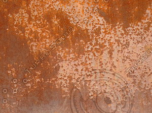 Metal Rust 20090716 013