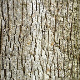 Bark
