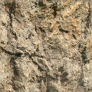Rock Facing