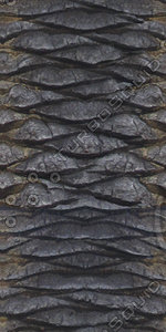 Bark_46