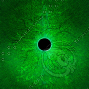 Dino_Round_Pupil_Style_Eye_GREEN_JPEG.jpg