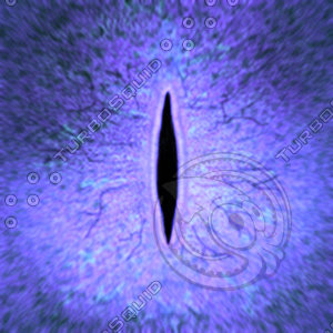 Dino_Slit_Style_Eye_PURPLE_JPEG.jpg