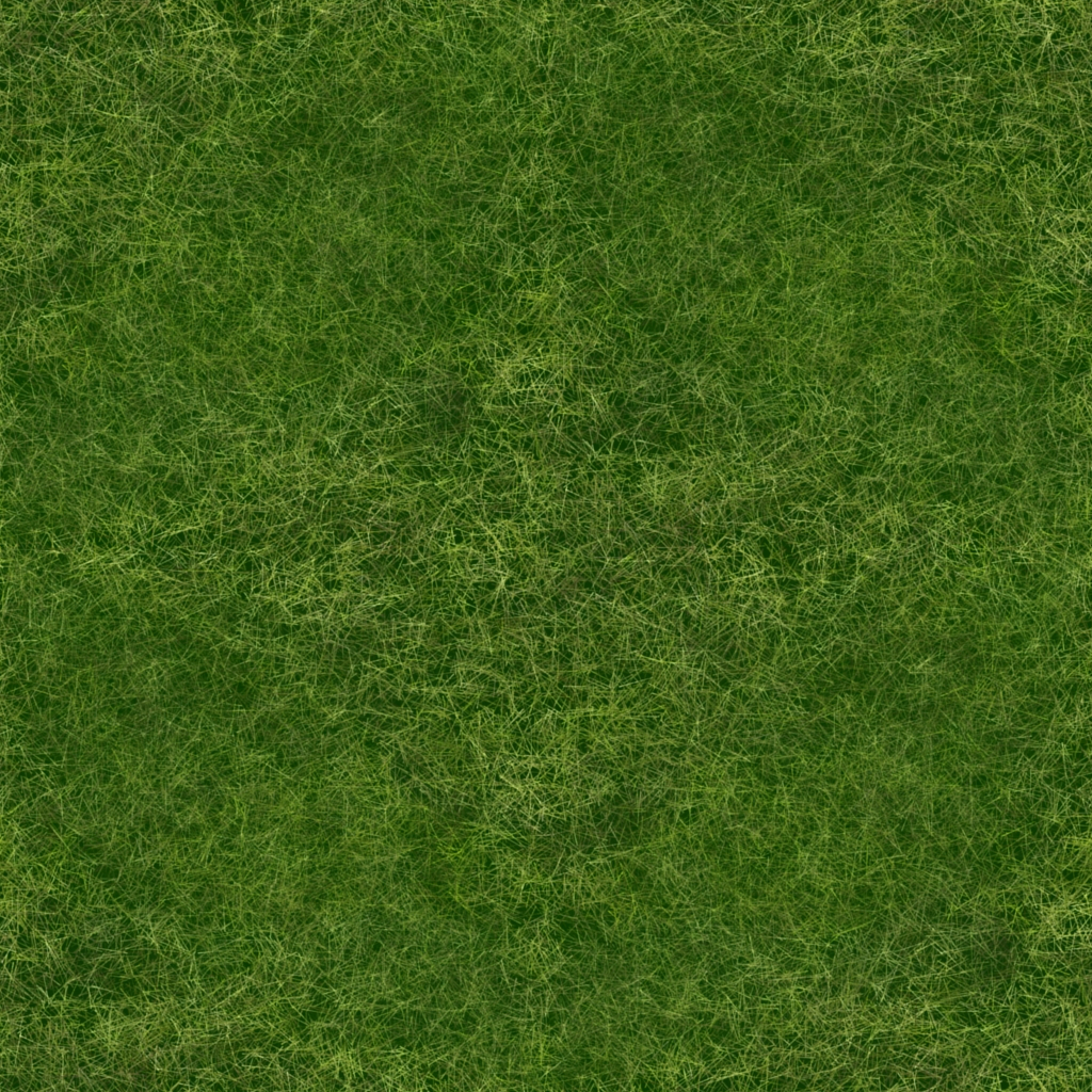 Texture PNG seamless tileable grass