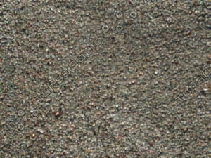 PICT0168.JPG