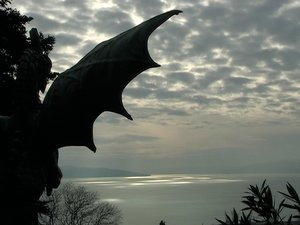 Sea Dragon