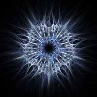 Spore