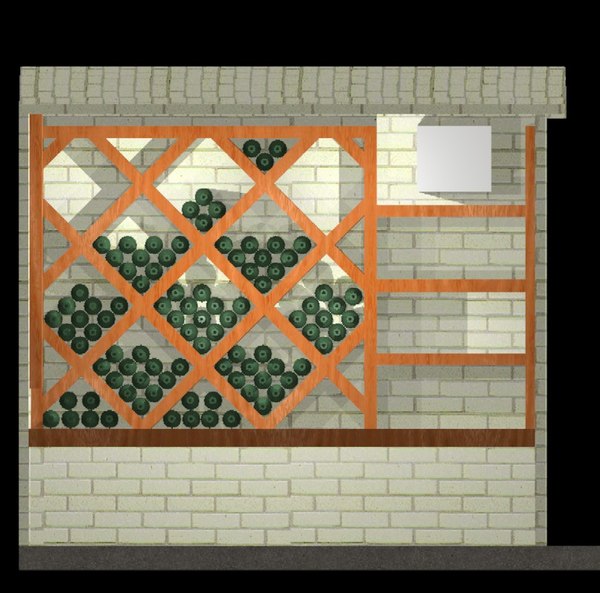 Building Revit Design wine cellar basement