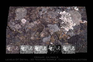 ca_med_5
