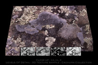 Texture Photoshop CA seemless Cachuma