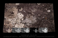 Texture Photoshop CA seemless Cachuma