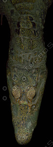 crocodile_08.jpg