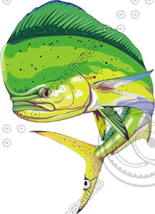 fish 12.ai