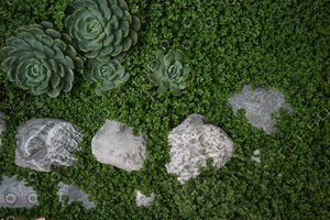 Garden decoration
