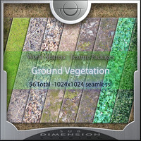WM_GroundVeg
