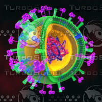swine flu h1n1 virus