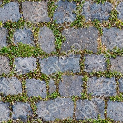 Texture JPEG pavement grass paving