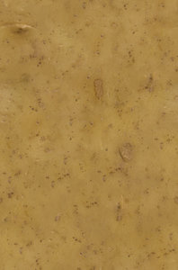 potato_skin.jpg
