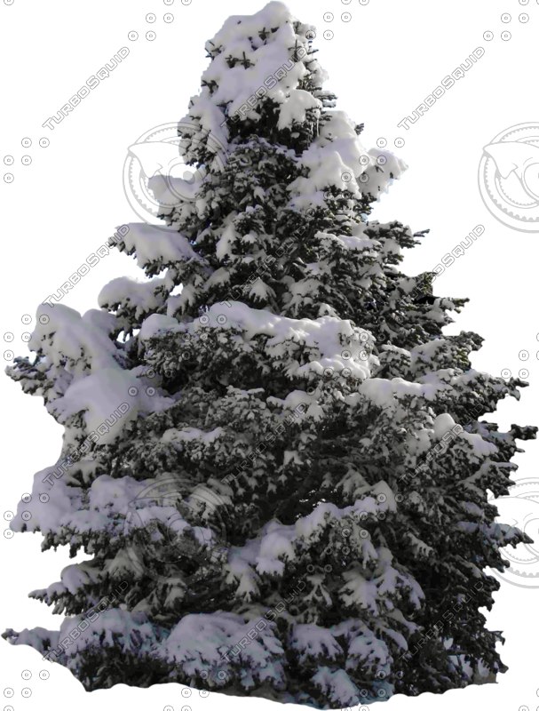 Texture Photoshop winter tree snow