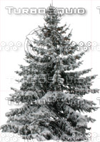 Snow covered wintertree