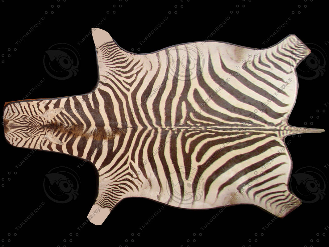 Zebra Skin Rug Vector Texture JPEG zebra skin rug