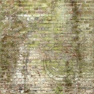 Mossy Brick