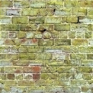 Mossy Brick
