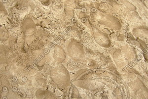 Sand Beach  20090727 056