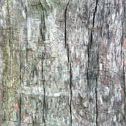 Bark