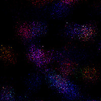 Bosonic Tensor Field