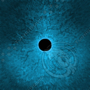 Dino_Round_Pupil_Style_Eye_BLUE_JPEG.jpg