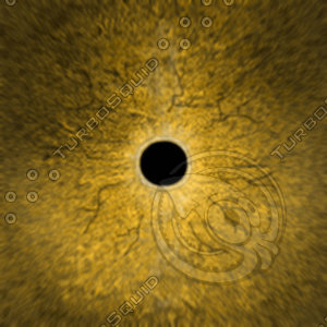 Dino_Round_Pupil_Style_Eye_BROWN_JPEG.jpg