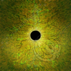 Dino_Round_Pupil_Style_Eye_JPEG.jpg