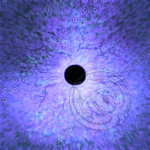 Dino_Round_Pupil_Style_Eye_PURPLE_JPEG.jpg