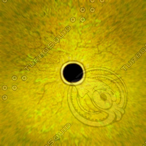 Dino_Round_Pupil_Style_Eye_YELLOW_JPEG.jpg